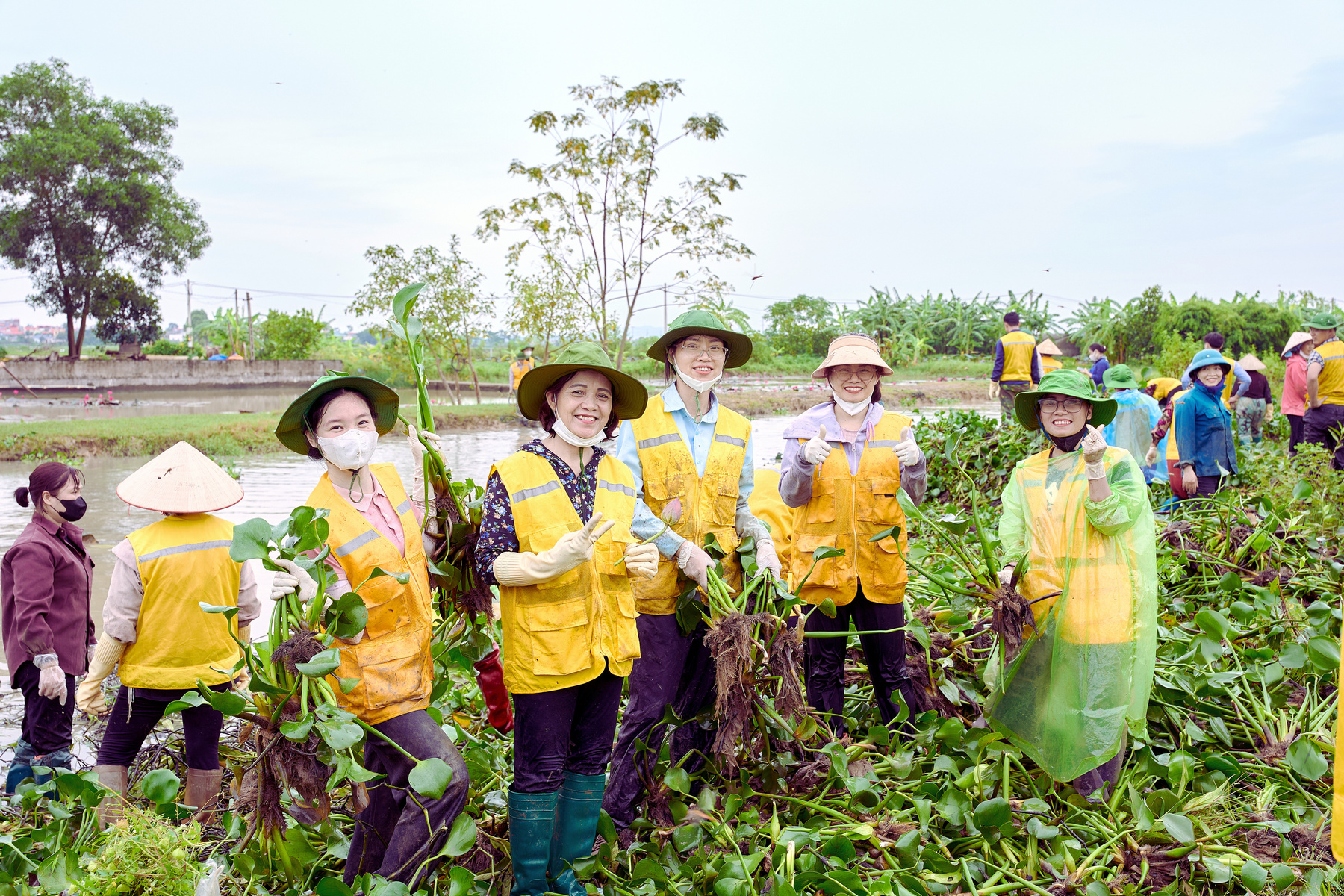 Thành viên CLB Gia Đình Hạnh Phúc khơi thông dòng chảy và thu gom bèo tây