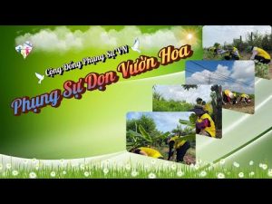 Phụng sự dọn vườn hoa tại Long Biên